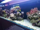 [TodoMarino.com] Acuario de 120 litros aprox.