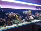 [TodoMarino.com] Acuario de 120 litros aprox.