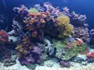 [TodoMarino.com] Acuario de 120 litros aprox.