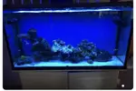 [TodoMarino.com] Vendo acuario 288 litros - Zaragoza