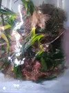 [TodoMarino.com] Materiales y preparativos para sump de posidonia