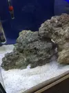 [TodoMarino.com] Nano de 30 litros