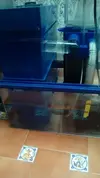 [TodoMarino.com] Sump de aquamedic - Alcala de Guadaira ( Sevilla )