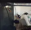 [TodoMarino.com] Pisito Reef. Poco a poco, ahora sí