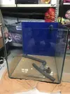 [TodoMarino.com] Vendo acuario marino y sump - Getafe ( madrid )