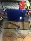 [TodoMarino.com] Vendo acuario marino y sump - Getafe ( madrid )