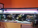 [TodoMarino.com] Acuario de 120 litros aprox.