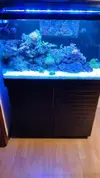 [TodoMarino.com] Desmonto por mudanza RED SEA MAX 250 - Madrid