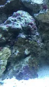 [TodoMarino.com] Mi primer marino “serio”
