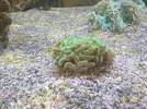 [TodoMarino.com] 640 L en Toledo - @Reefrugab