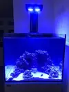 [TodoMarino.com] Mi primer marino Red Sea Reefer 170