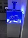 [TodoMarino.com] Mi primer marino Red Sea Reefer 170