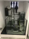 [TodoMarino.com] Mi primer marino Red Sea Reefer 170
