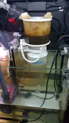 [TodoMarino.com] Pisito Reef. Poco a poco, ahora sí