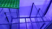 [TodoMarino.com] Venta acuario - Barcelona