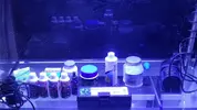 [TodoMarino.com] Venta acuario - Barcelona