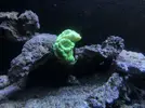 [TodoMarino.com] Mi primer marino “serio”