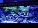 [TodoMarino.com] Vendo acuario mario 200 litros - Madrid