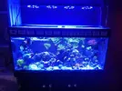 [TodoMarino.com] Vendo acuario mario 200 litros - Madrid