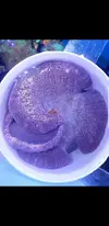 [TodoMarino.com] Quadricolor morada o rara.