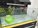 [TodoMarino.com] DomosReef IV