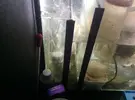 [TodoMarino.com] Necesito consejo !!!,,