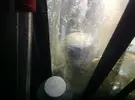 [TodoMarino.com] Necesito consejo !!!,,