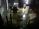 [TodoMarino.com] Necesito consejo !!!,,