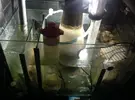 [TodoMarino.com] Necesito consejo !!!,,