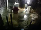 [TodoMarino.com] Necesito consejo !!!,,