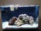 [TodoMarino.com] OceanFree 96l.