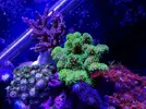 [TodoMarino.com] Nuevo proyecto