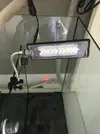 [TodoMarino.com] REBAJÓN: URNA 250L, MESA A MEDIDA,  SUMP SIROCCO Y BOMBA DE SUBIDA EHEIM REGULABLE POR 200€