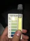 [TodoMarino.com] Algas Nano Reef