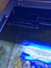 [TodoMarino.com] Algas Nano Reef