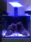 [TodoMarino.com] Mi primer marino Red Sea Reefer 170