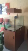 [TodoMarino.com] Vendo urna, mesa y pantalla led - Madrid
