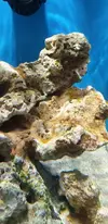 [TodoMarino.com] Fun Nano Reef 2.0