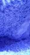 [TodoMarino.com] Fun Nano Reef 2.0