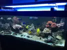 [TodoMarino.com] Acuario 450 litros