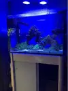 [TodoMarino.com] Vendo Acuario Marino completo - Barcelona