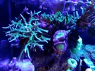[TodoMarino.com] Desmonto acuario (Barcelona) - Molins de rei