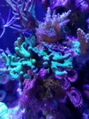 [TodoMarino.com] Desmonto acuario (Barcelona) - Molins de rei