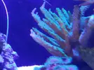 [TodoMarino.com] Desmonto acuario (Barcelona) - Molins de rei