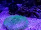 [TodoMarino.com] Desmonto acuario (Barcelona) - Molins de rei