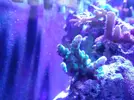 [TodoMarino.com] Desmonto acuario (Barcelona) - Molins de rei