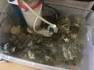 [TodoMarino.com] Acuario 200 litros completo - Rivas Vaciamadrid (Madrid)