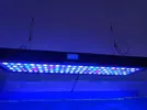 [TodoMarino.com] Problema luz de luna it2080