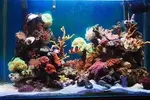 [TodoMarino.com] mi pequeño trozo marino
