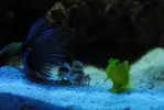 [TodoMarino.com] mi pequeño trozo marino